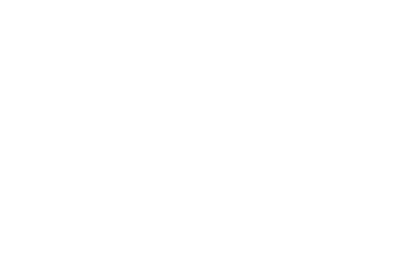 Seven Dogs